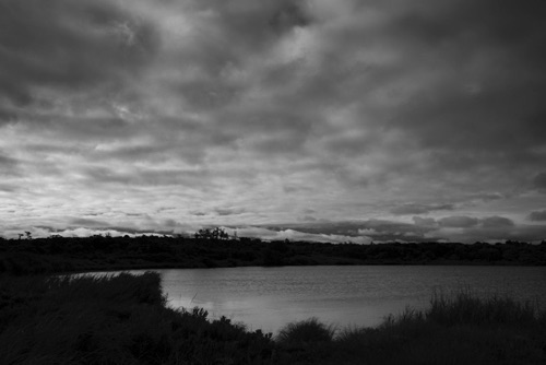 Sachem Pond at Sunrise, Block Island, RI August 2013 BW (8534-SA).jpg